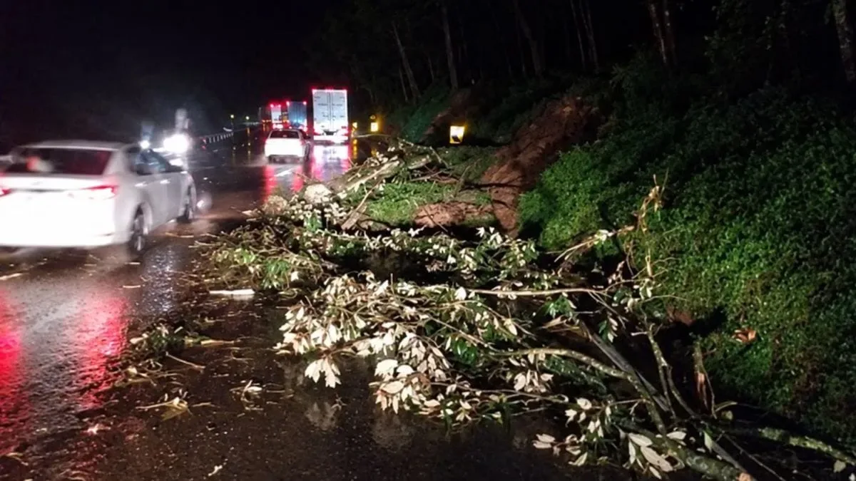Queda de barreira interrompe BR-116 em Rio Negro, no Paraná