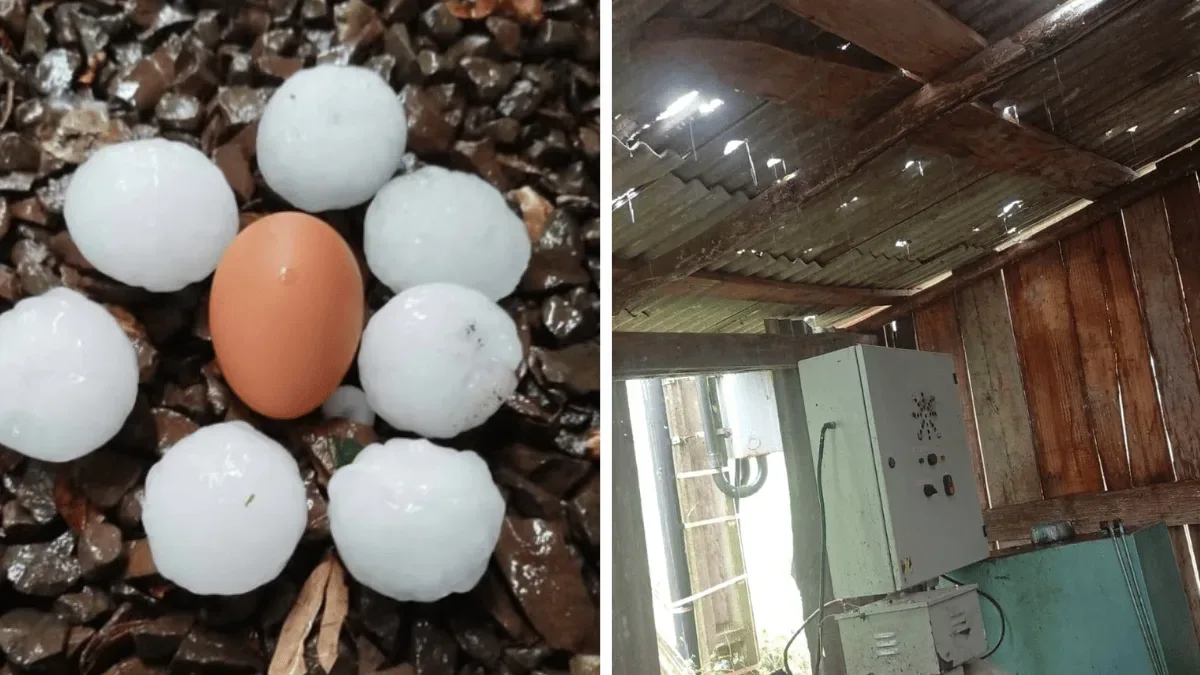 Temporal causa danos em municípios do Oeste de Santa Catarina