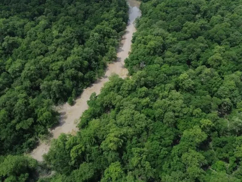 Virada Amazônia de Pé mobiliza eleitores a 30 dias do primeiro turno