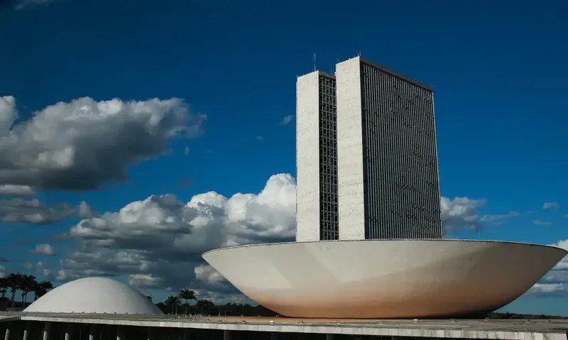 Estudo aponta divergência racial em 1.331 candidaturas à Câmara