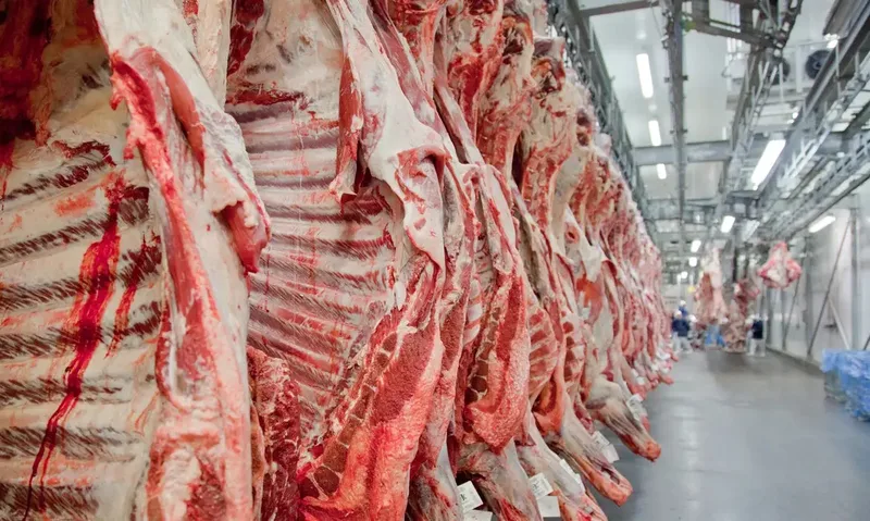 UE prevê retomada da carne bovina brasileira só após dois anos