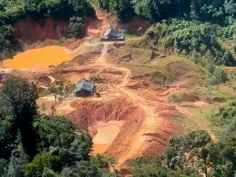 Brasil fica atrás apenas da Colômbia em mortes de defensores ambientais