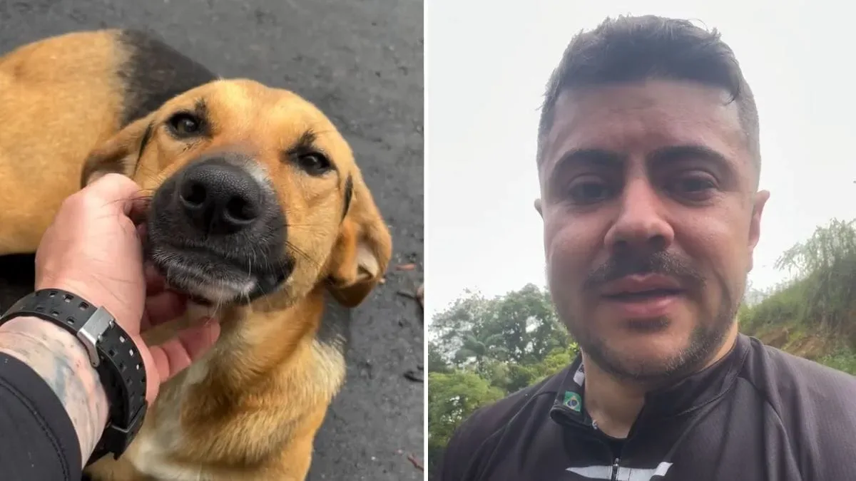 Ciclista encontra cadela perdida e interrompe pedal para resgatá-la