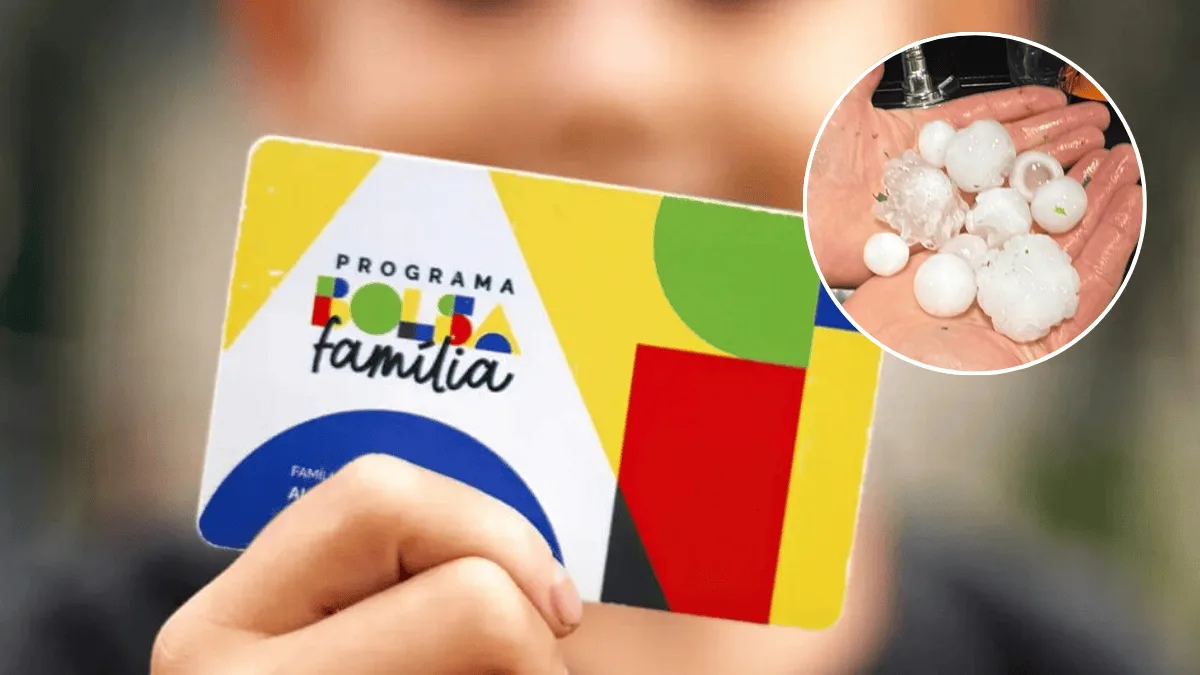 Bolsa Família pode ser antecipado para 11 cidades de Santa Catarina em setembro
