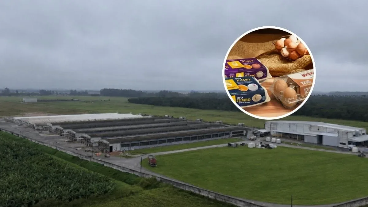 Mantiqueira investirá R$ 50 milhões em expansão em Santa Catarina