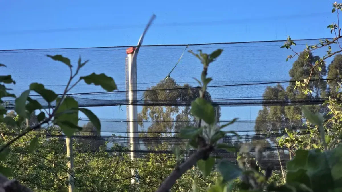 Ventiladores contra geada protegem macieiras na Serra catarinense