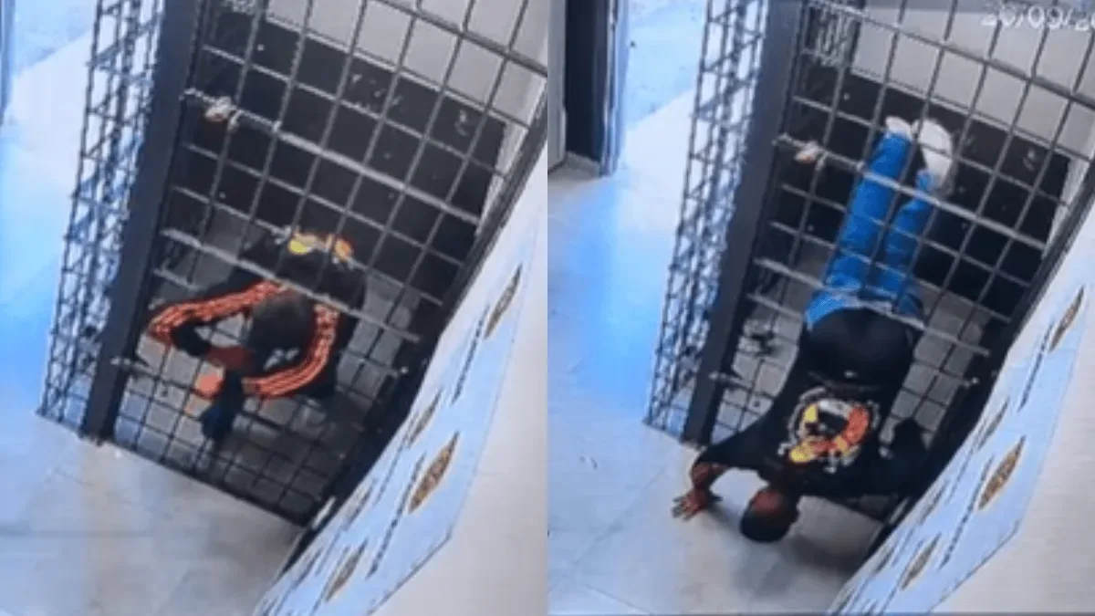 Homem foge de delegacia em Florianópolis por buraco na grade da cela