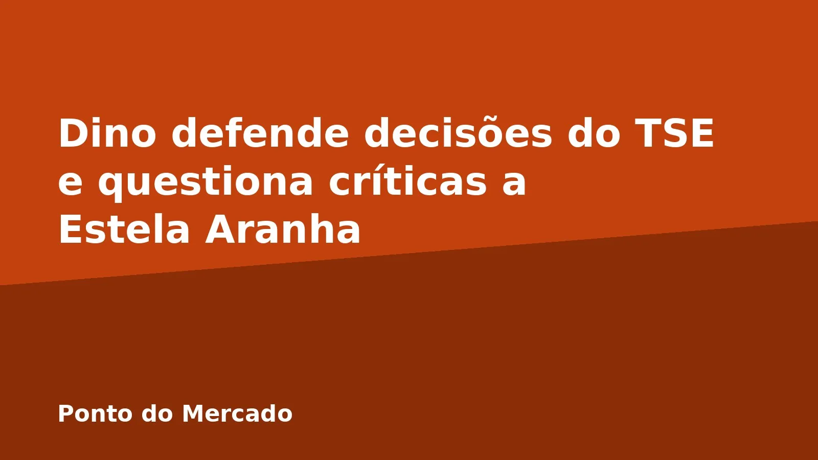 Dino defende decisões do TSE e questiona críticas a Estela Aranha
