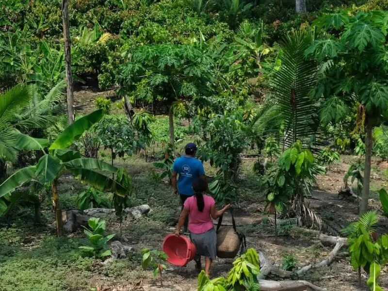 Territórios latino-americanos enfrentam extremos de seca, inundação e perda cultural