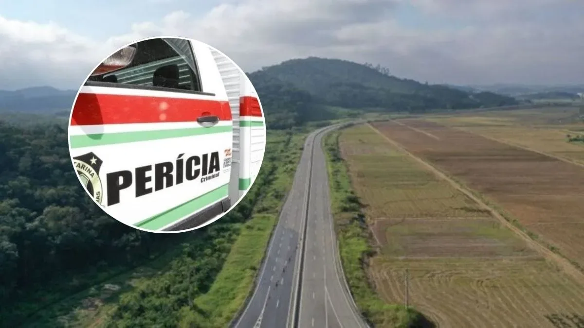 Motorista morre após fugir de abordagem e bater contra caminhão em SC