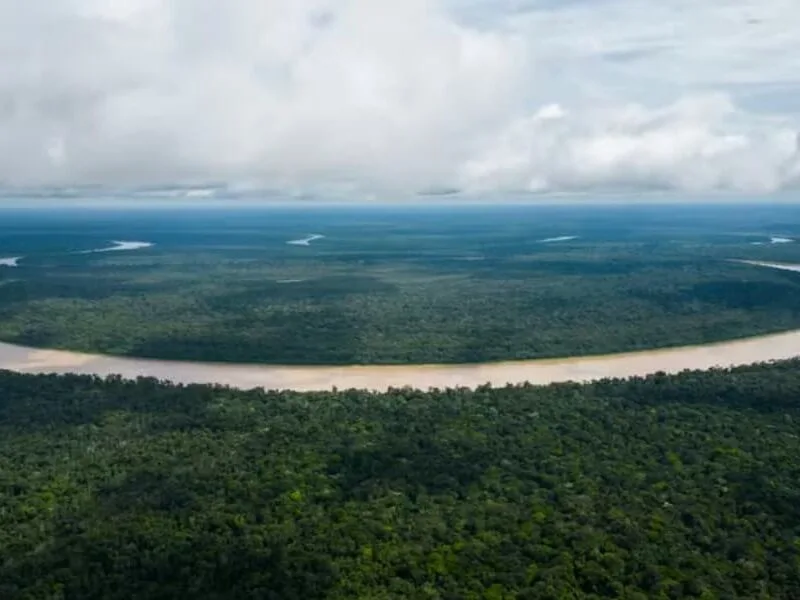 LiDAR amplia escala das sociedades pré-colombianas na Amazônia