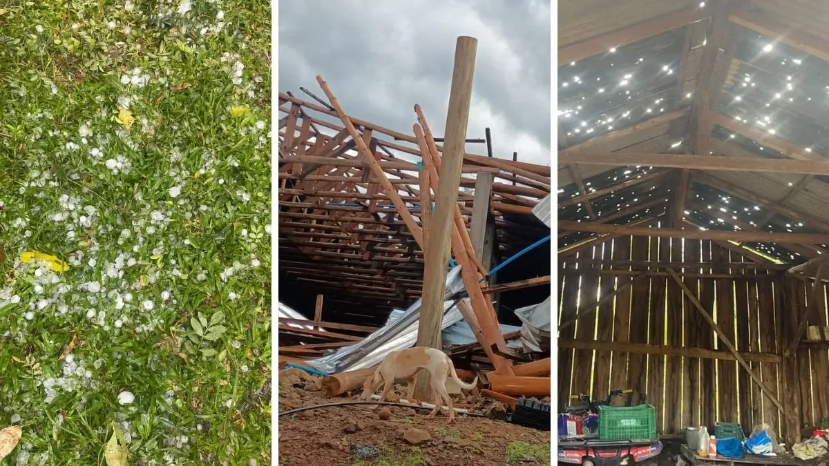 Temporal provoca destelhamentos e queda de árvores em Quilombo, em SC