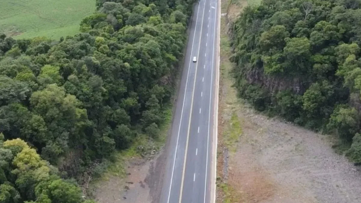 BR-282 registra 115 mortes em 2025 em meio a falhas na infraestrutura