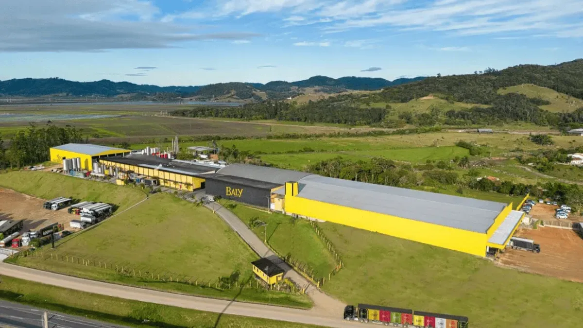 Baly Brasil chega à vice-liderança no mercado de energéticos no país