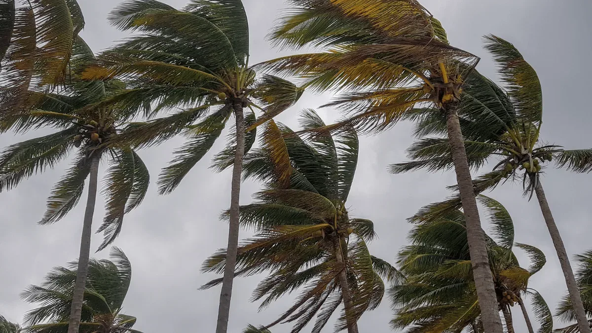 Santa Catarina começa a semana com temporais e rajadas de até 70 km/h