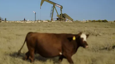 EPA deve retirar regras de carbono para usinas a carvão e gás nos EUA