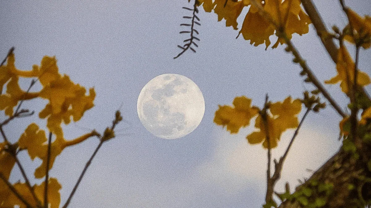 Lua Cheia marca o céu neste domingo, 27 de setembro de 2026