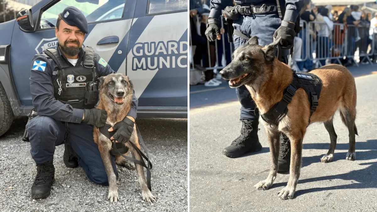Black retorna ao desfile de Balneário Camboriú após aposentadoria da Guarda Municipal